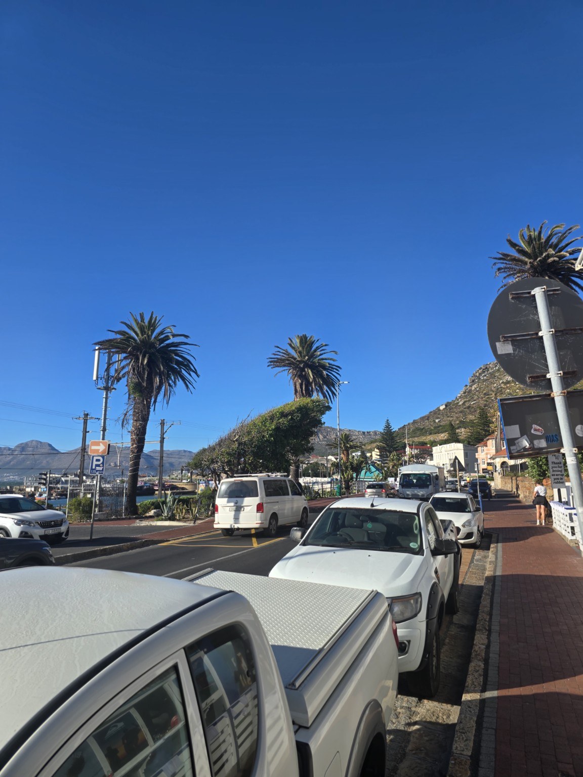 Kalk Bay Main Road lined with palm trees and shops overlooking the harbour and mountains, where Salt café sits at 136 Main Road, Cape Town