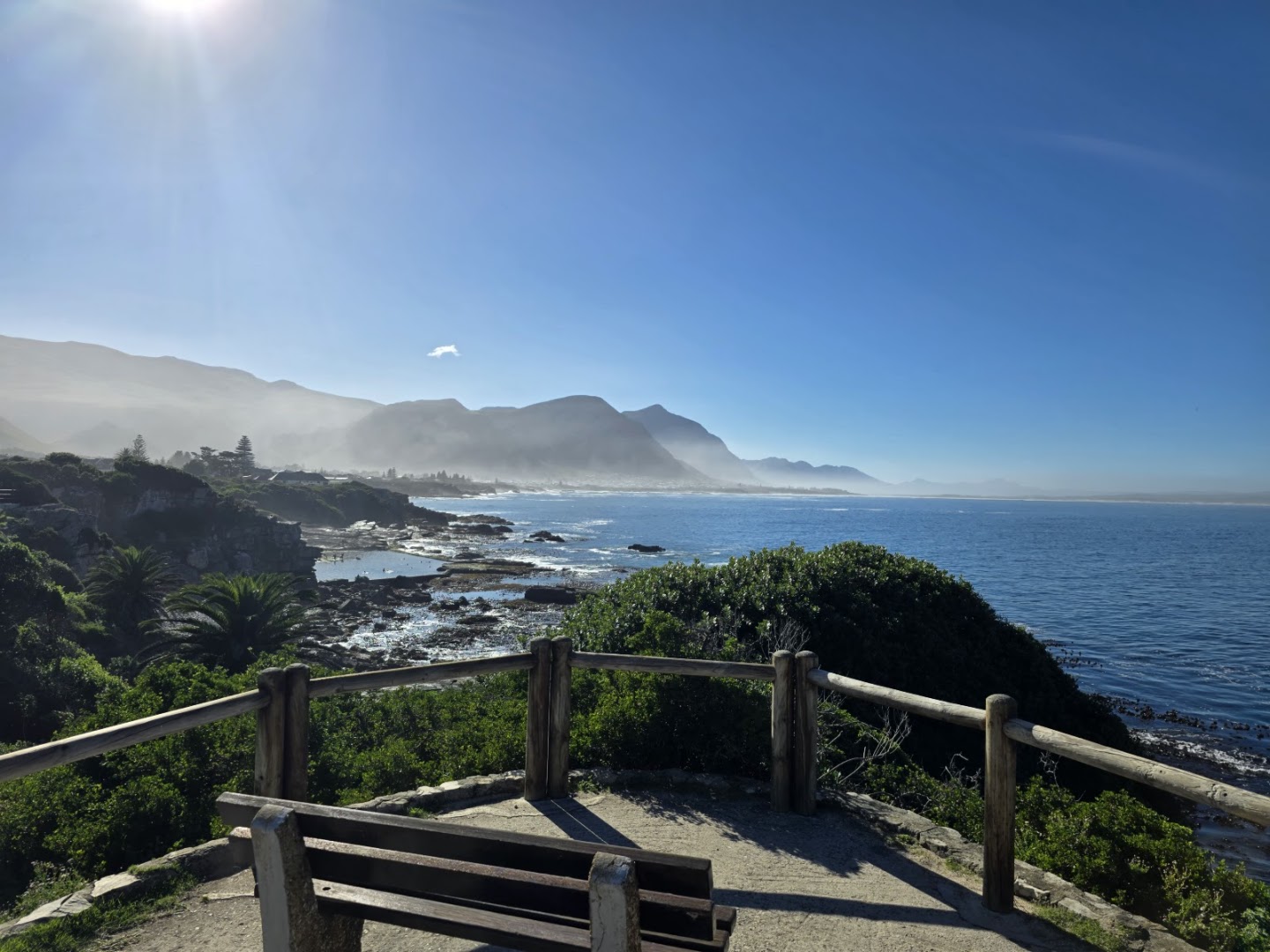 Hermanus Whale Watching Walking Tour
