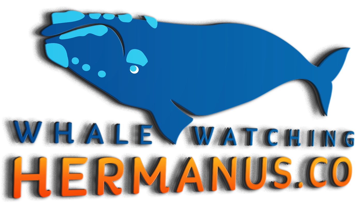 Whale Watching Hermanus Whale Watching Hermanus Boat Tours Logo