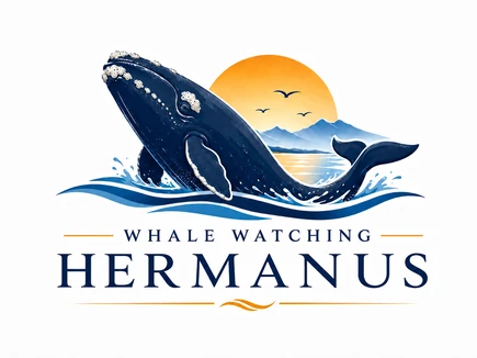 Whale Watching Hermanus Whale Watching Hermanus Boat Tours Logo