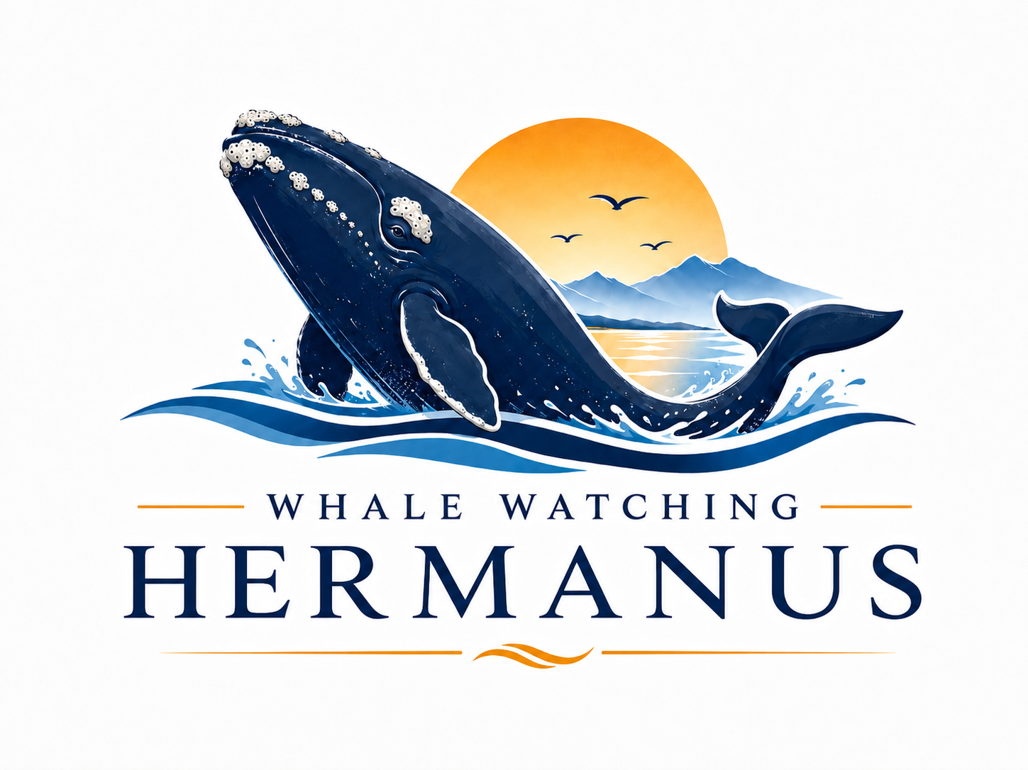 Whale Watching Hermanus Whale Watching Hermanus Boat Tours Logo