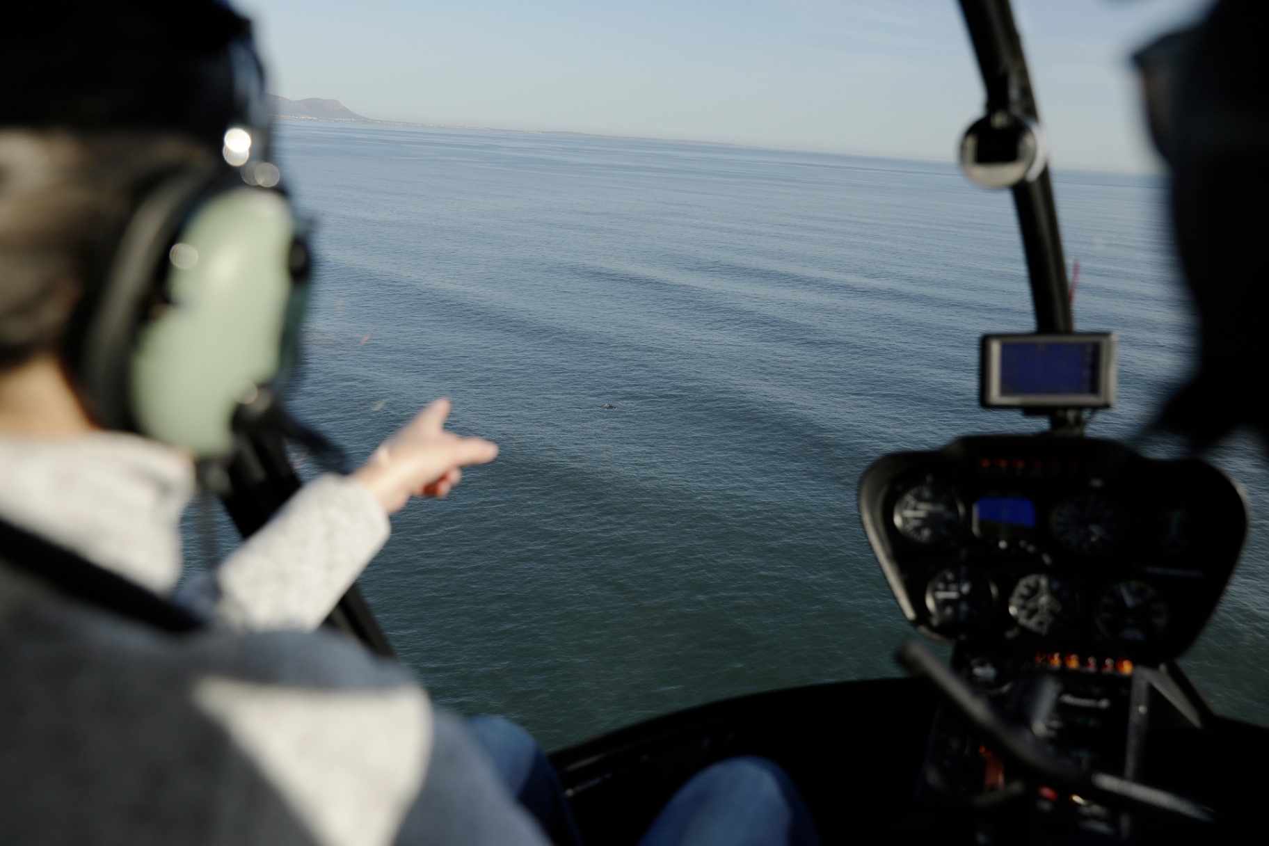 Passenger pointing to whales from a helicopter over Walker Bay near Hermanus