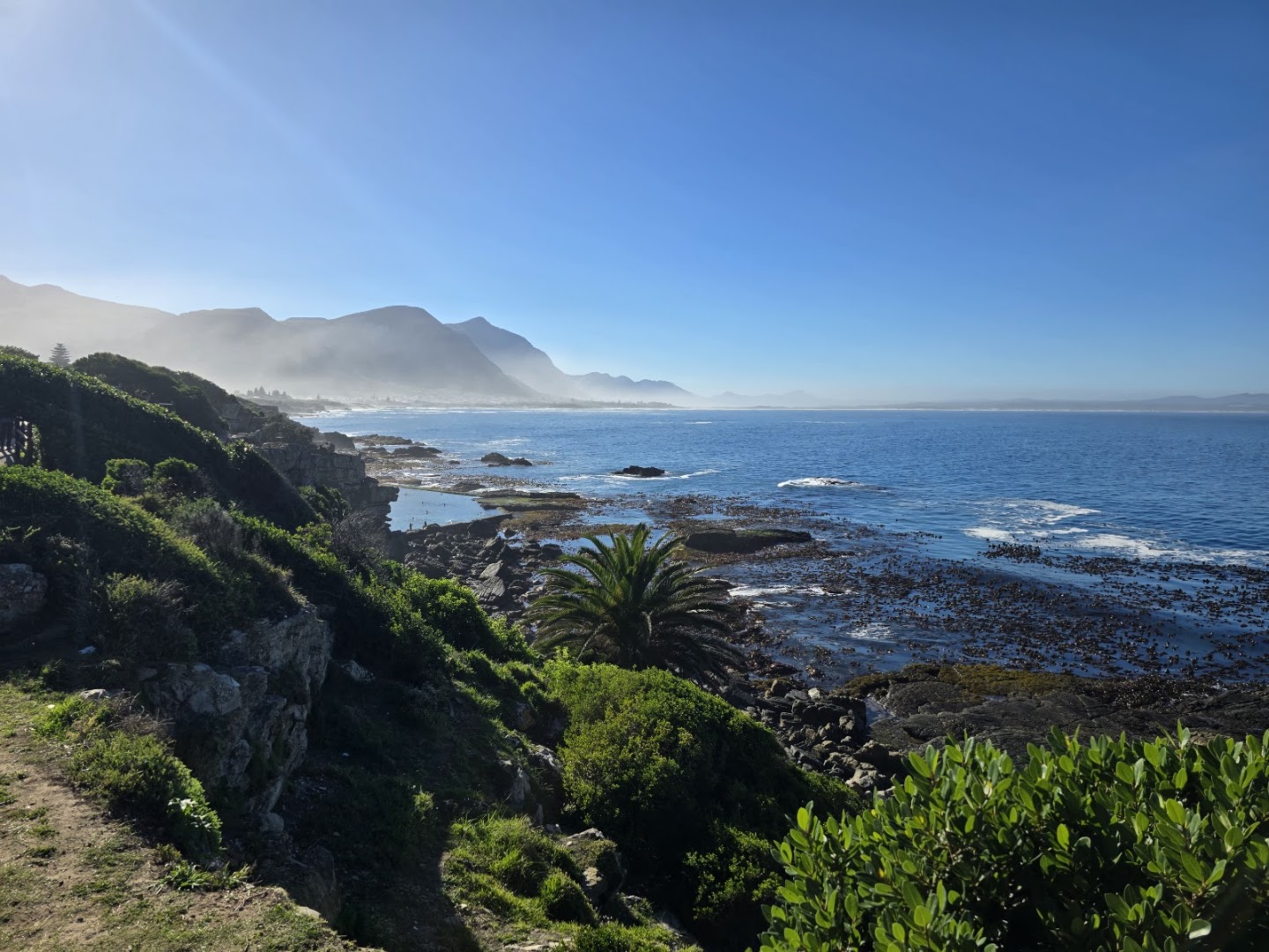 Cliff Path