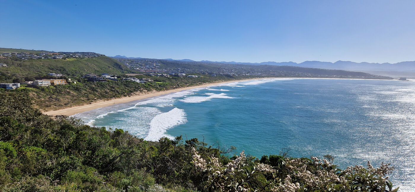 Sweeping view over Robberg Beach in Plettenberg Bay — long sandy beach, turquoise Garden Route bay water and coastal homes set against fynbos-covered hills