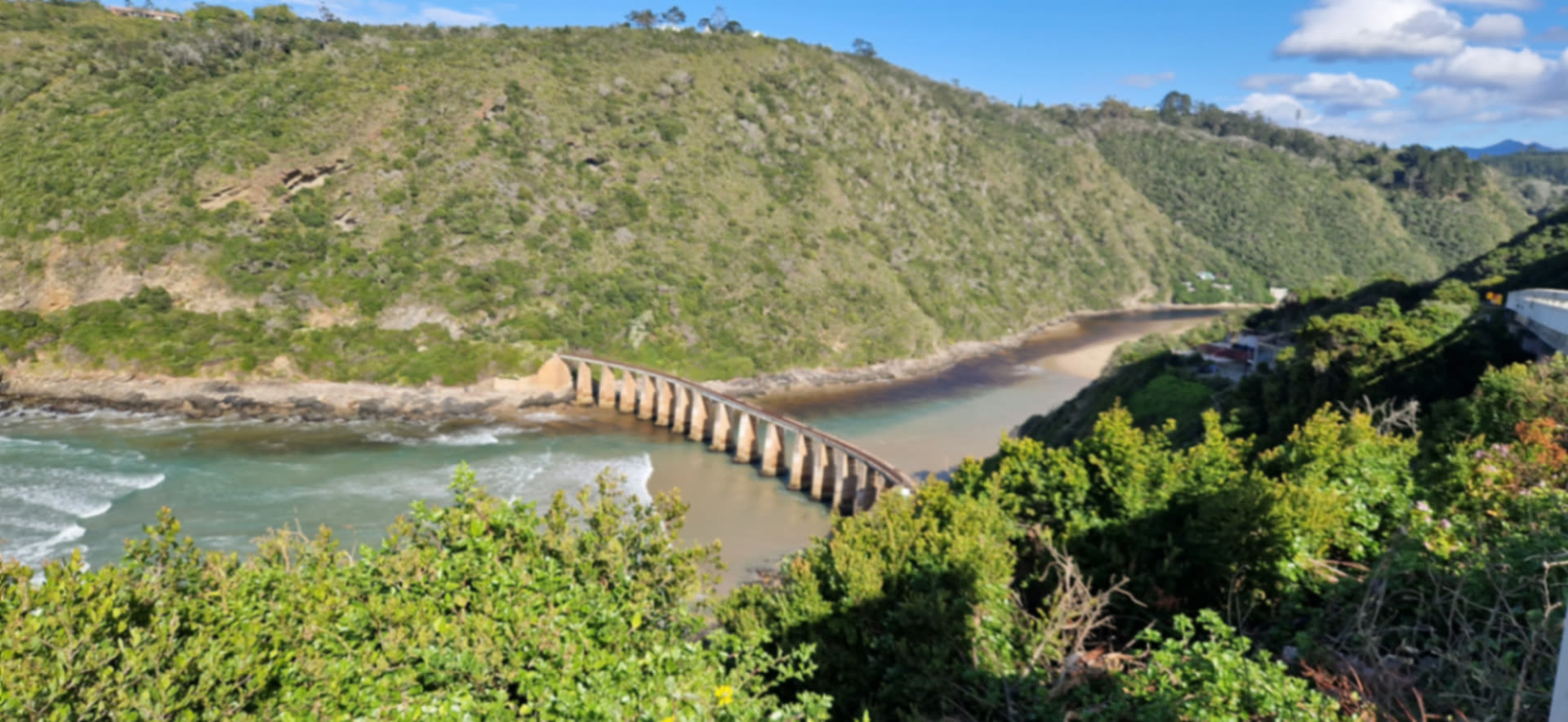 Scenic Garden Route coastline in South Africa with forests, mountains and ocean.