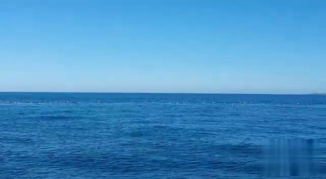 Gansbaai Marine Big 5 sea safari around Dyer Island