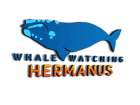 Whale_Watching_Hermanus_Logo_200X150