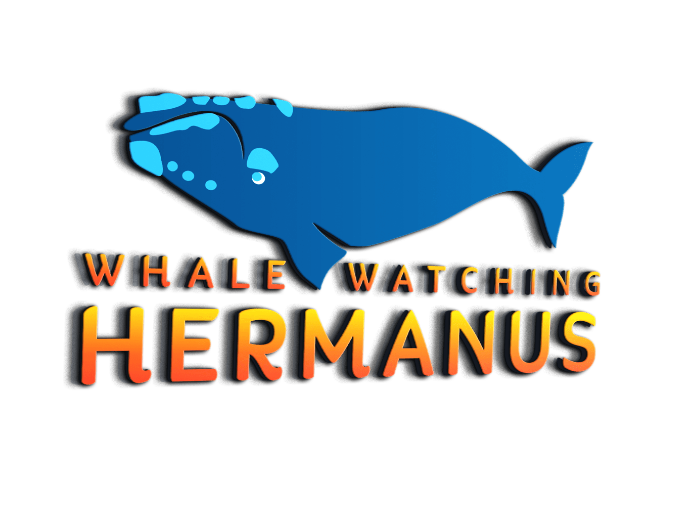 Whale_Watching_Hermanus_New_Logo